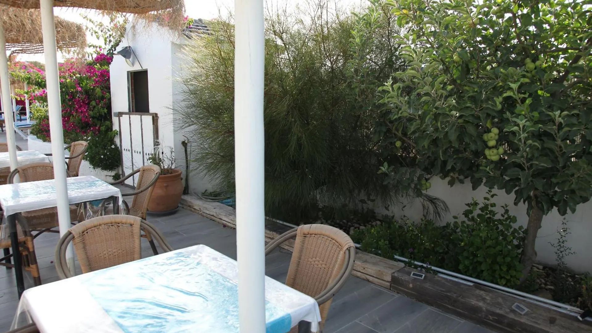 Ferienwohnung The Dragonfly Retreat Málaga Apartment